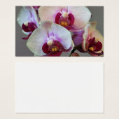 Orchidée miniature (Devant & derrière)