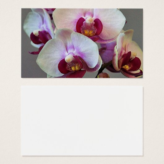 Orchidée miniature (Devant & derrière)