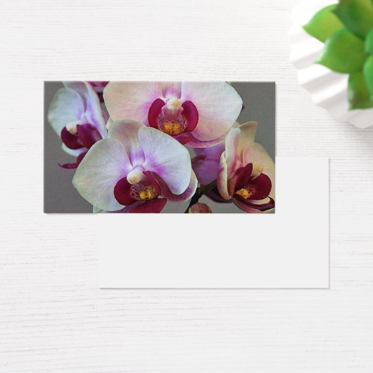 Orchidée miniature (Bureau)