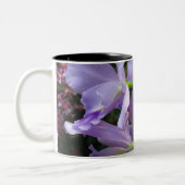 Orchidee Mok 11 (Links)