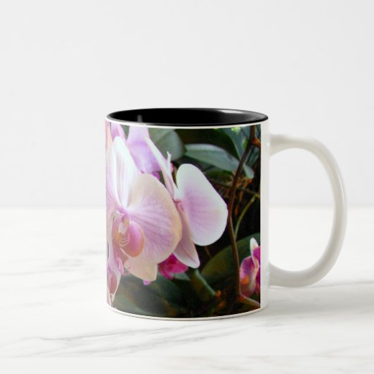 Orchidee Mok 6 (Rechts)
