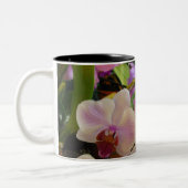 Orchidee Mok 6 (Links)