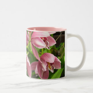 Orchidee Mok 7