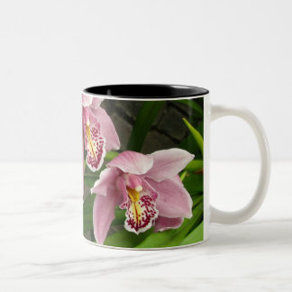 Orchidee Mok 8