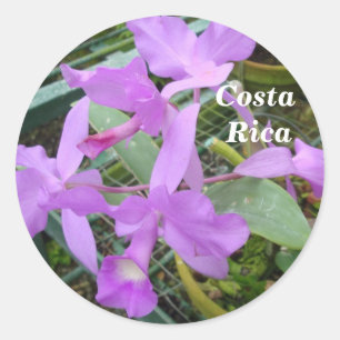 Orchidee — Nationale bloem van Costa Rica Ronde Sticker