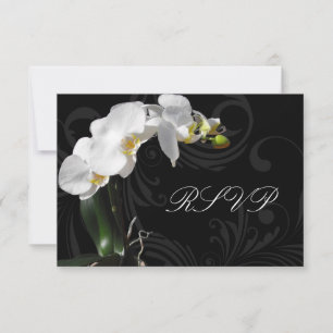 Orchidée noire et blanche Dramatique RSVP