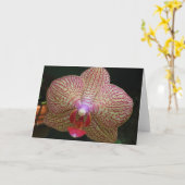 Orchidee Notecard Kaart (Gele Bloem)