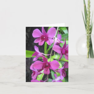 Orchidee notecard kaart