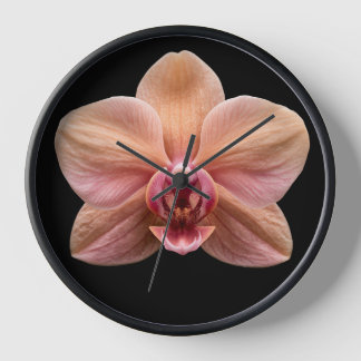 Orchidee op zwarte achtergrond