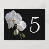 Orchidee op zwarte tafelnummers (Achterkant)