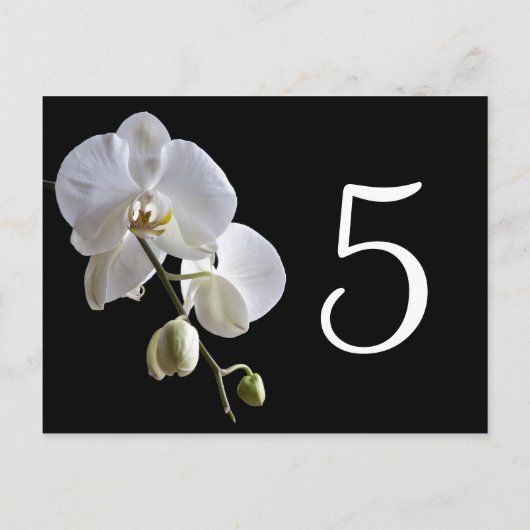 Orchidee op zwarte tafelnummers (Achterkant)