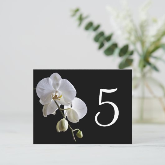 Orchidee op zwarte tafelnummers (Staand voorkant)