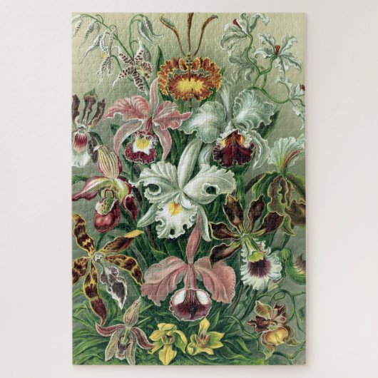  orchidee orkest Haeckel Lithograaf Poster Legpuzzel (Verticaal)