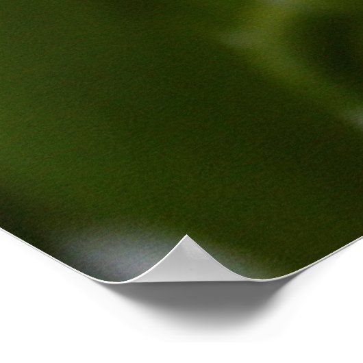 Orchidee poster (Hoek)