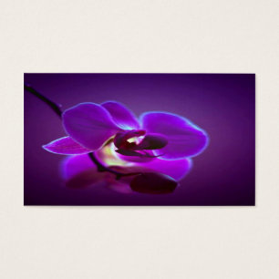 Orchidée pourpre