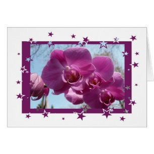 Orchidée pourpre
