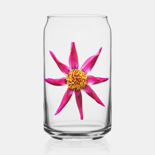 Orchidée rose Dahlia florale (Recto)