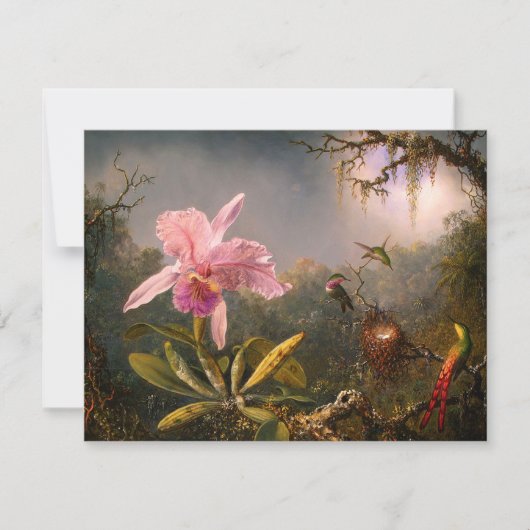 Orchidée rose et trois colibris Invitations (Devant)