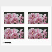orchidée rose fermer les autocollants du rectangle (Feuille)