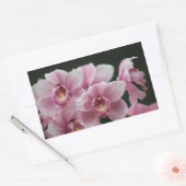 orchidée rose fermer les autocollants du rectangle (Enveloppe)