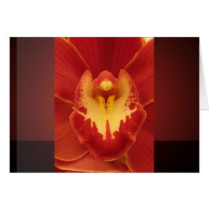 Orchidée rouge