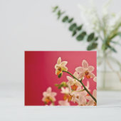 Orchidée rouge ・ Carte postale (Debout devant)