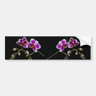 Orchidee roze witte kleur op zwart bord zacht bumpersticker