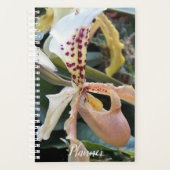 Orchidée Sabot de Lady Floral (Devant)