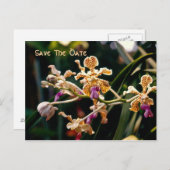 Orchidée sauvage Enregistrer la carte postale Date (Devant / Derrière)
