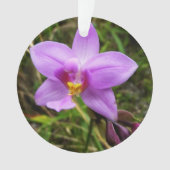 Orchidée sauvage violette Fleur tropicale (devant)
