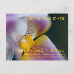 Orchidee · Save the Date Briefkaart