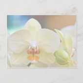 Orchidee · Save the Date Kaart (Achterkant)