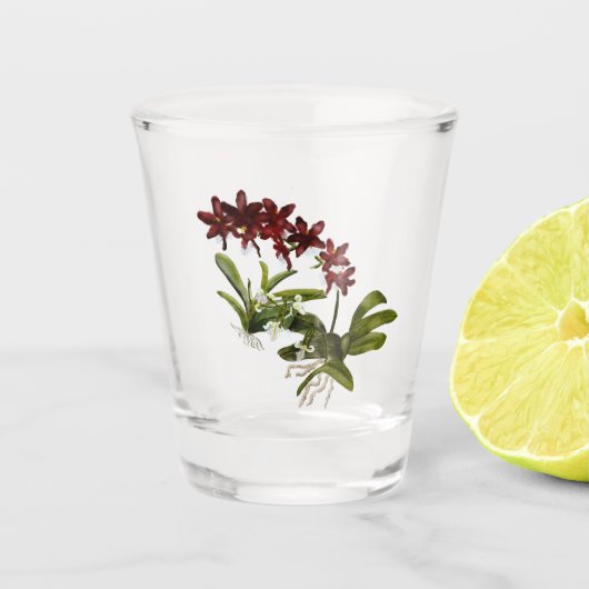 Orchidee shotglas shot glas (Voorkant)