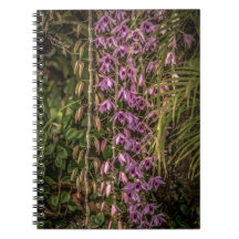 Orchidee Spiraal Foto Notitieboek