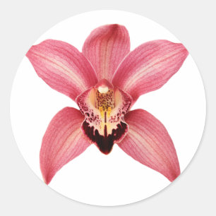 Orchidee Stickers