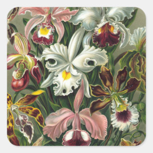 Orchidee Stickers