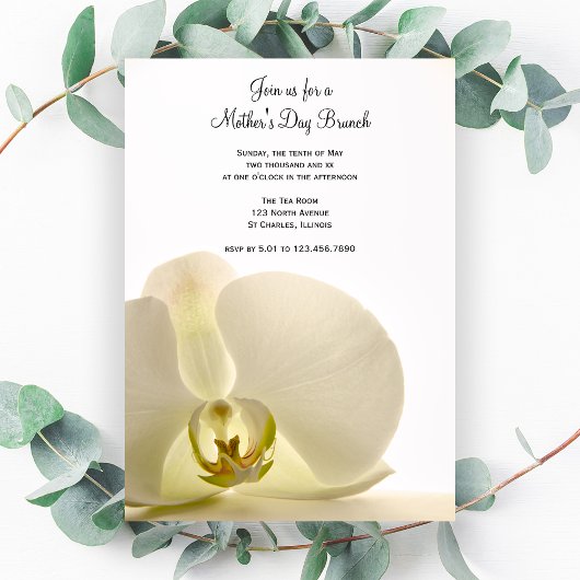 Orchidée sur White Mother's Day Brunch Invitation