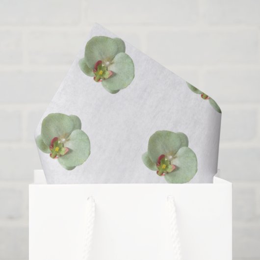 Orchidee Tissuepapier (Cadeauzakje)