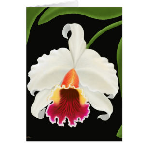 Orchidée tropicale exotique de Cattleya