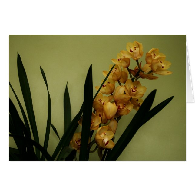 "orchidee" van Larry Coressel (Voorkant Horizontaal)