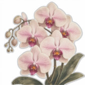 orchidee vinyl sticker (Voorkant)