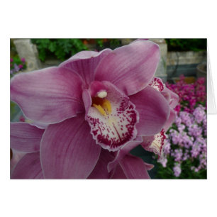 Orchidée violette et jardin coloré Floral