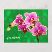 Orchidée violette sur carte postale verte (Devant)