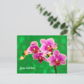 Orchidée violette sur carte postale verte (Debout devant)