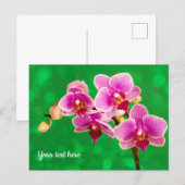 Orchidée violette sur carte postale verte (Devant / Derrière)