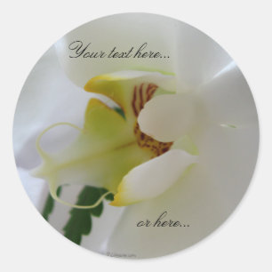 Orchidee witte bloem Stickers / bruiloft stickers