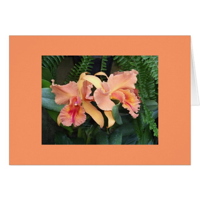 Orchideeën (Voorkant Horizontaal)