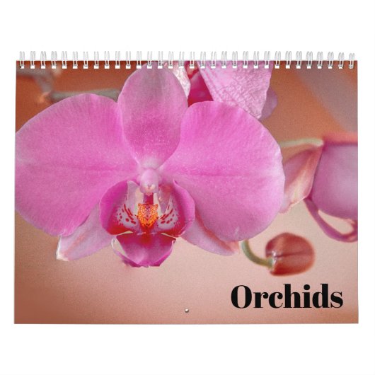 Orchideeën 2025 kalender (Hoes)