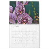 Orchideeën 2025 kalender (Mar 2027)