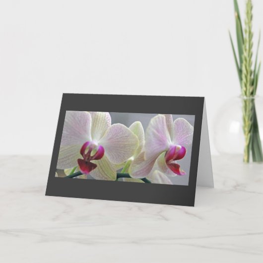 Orchideeën #2 kaart (Voorkant)